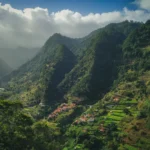 Escape the Heat: The Ultimate Saudi to Kerala Monsoon Tour Package