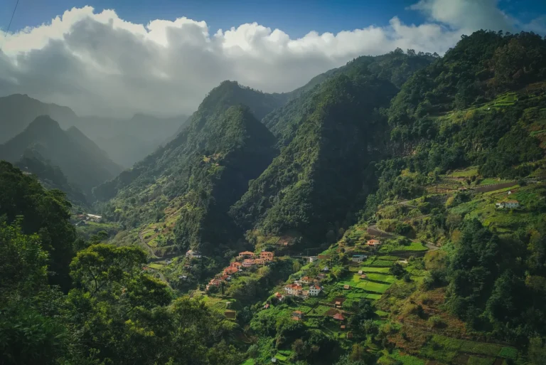 Escape the Heat: The Ultimate Saudi to Kerala Monsoon Tour Package