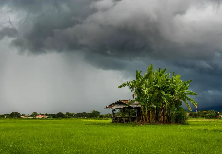 The Ultimate Monsoon Travel Guide: Experience Kerala’s Magic in 2026